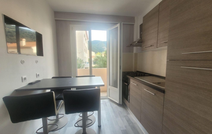 Réseau Immo-diffusion : Appartement P2  AMELIE-LES-BAINS-PALALDA  36 m2 65 000 € 