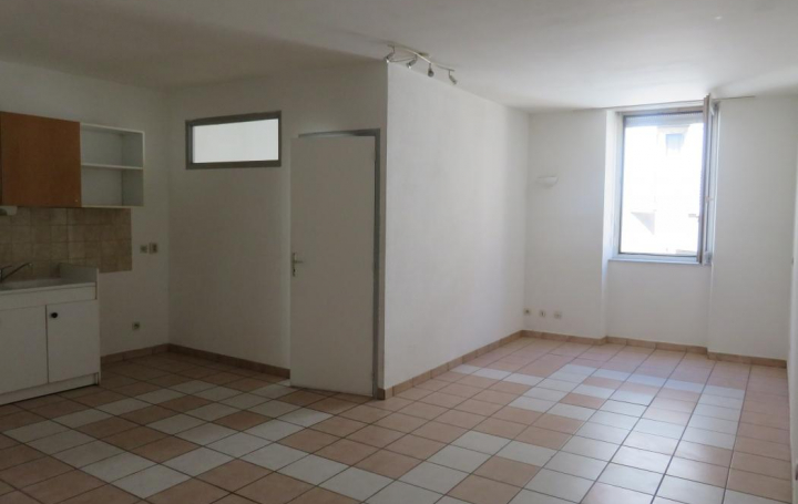 Réseau Immo-diffusion : Appartement P2  TOURNON-SUR-RHONE  44 m2 334 € 