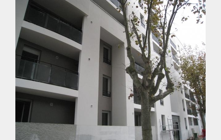 Réseau Immo-diffusion : Appartement P2  VILLEURBANNE  39 m2 196 000 € 