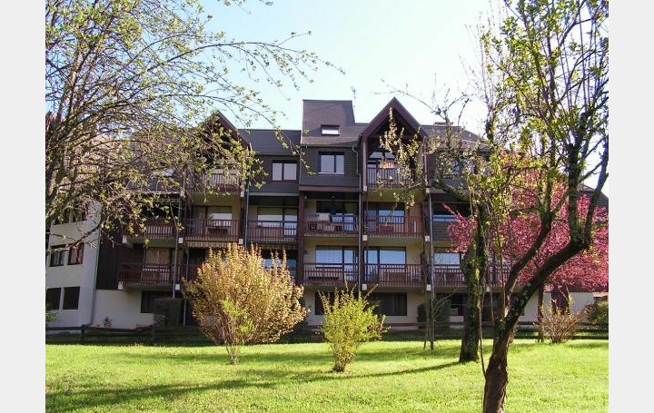 Réseau Immo-diffusion : Appartement P2  SAINT-PIERRE-DE-CHARTREUSE  30 m2 59 000 € 