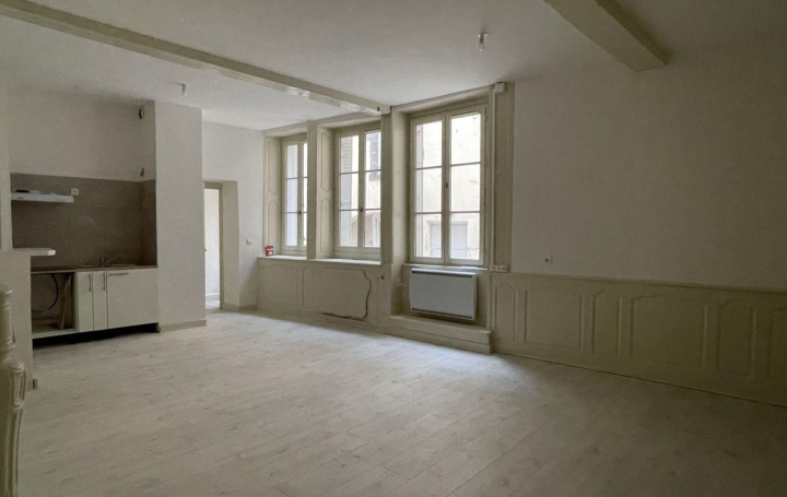 Réseau Immo-diffusion : Appartement P2  THIERS  61 m2 385 € 