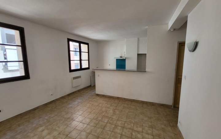 Réseau Immo-diffusion : Appartement P2  PERPIGNAN  35 m2 55 000 € 