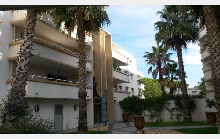 Réseau Immo-diffusion : Appartement P2  MONTPELLIER  40 m2 153 000 € 