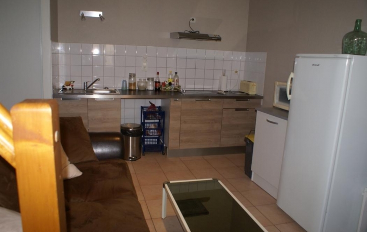 Réseau Immo-diffusion : Appartement P2  FLEURANCE  35 m2 350 € 