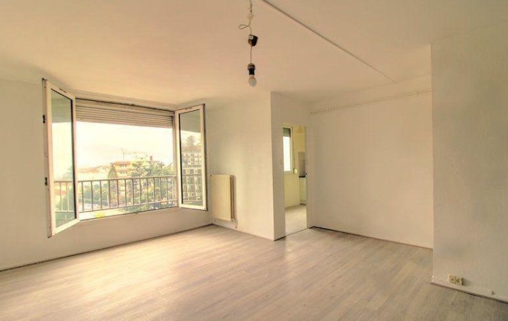 Réseau Immo-diffusion : Appartement P3  FIRMINY  65 m2 65 000 € 