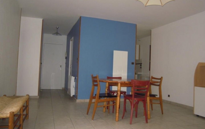 Réseau Immo-diffusion : Appartement P2  MENDE  51 m2 72 000 € 