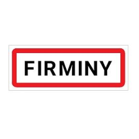 Autre FIRMINY (42700) 600.00m2 696 800 € 