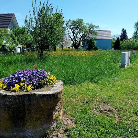 Terrain BERNOLSHEIM (67170) m2 78 150 € 