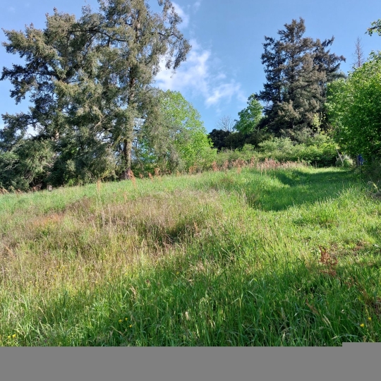 Terrain BEAUJEU (69430) m2  - 50 000 € 