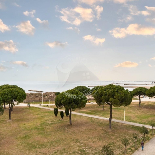 3 Pièces LE GRAU-DU-ROI (30240) 70.00m2  - 613 € 