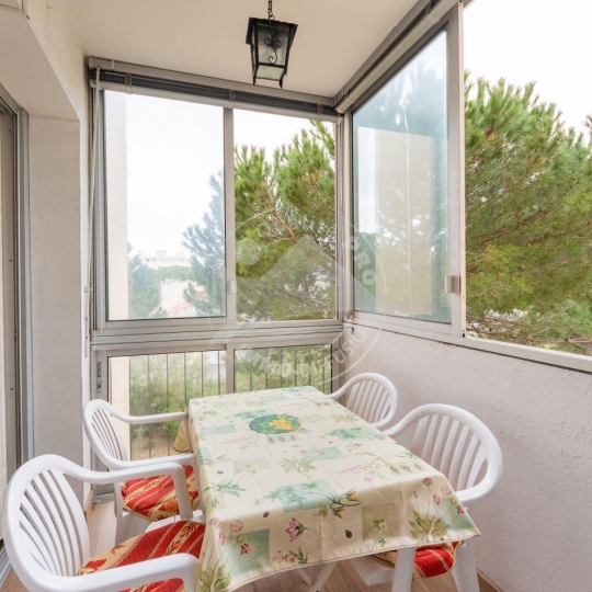 2 Pièces LE GRAU-DU-ROI (30240) 32.00m2  - 420 € 