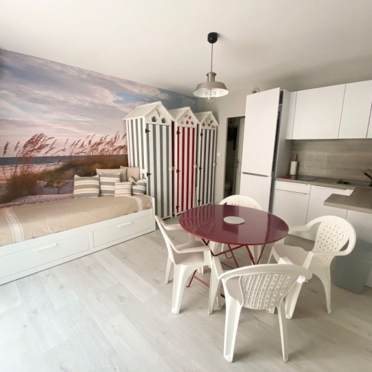 Réseau Immo-diffusion : Studio LE GRAU-DU-ROI (30240) 20.96m2  620 € 