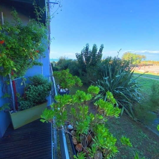 Réseau Immo-diffusion : Studio LE GRAU-DU-ROI (30240) 31.00m2  209 000 € 