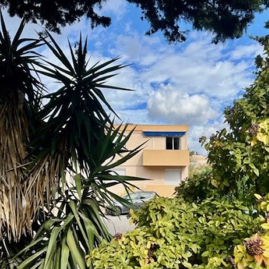 Réseau Immo-diffusion : 3 Pièces MONTPELLIER (34000) 78.00m2  1 250 € 