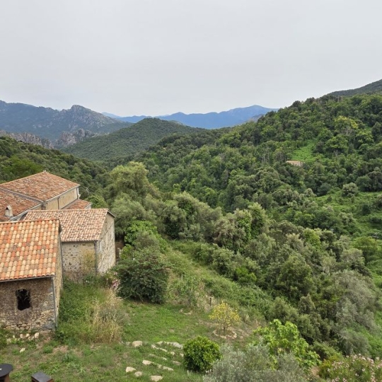 4 Pièces ARBORI (20160) 74.00m2  - 119 000 € 