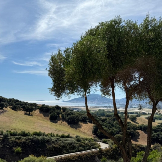 Appartement BASTELICACCIA (20129) 71.00m2 280 000 € 