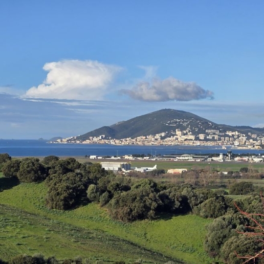 Appartement BASTELICACCIA (20129) 71.00m2 315 000 € 