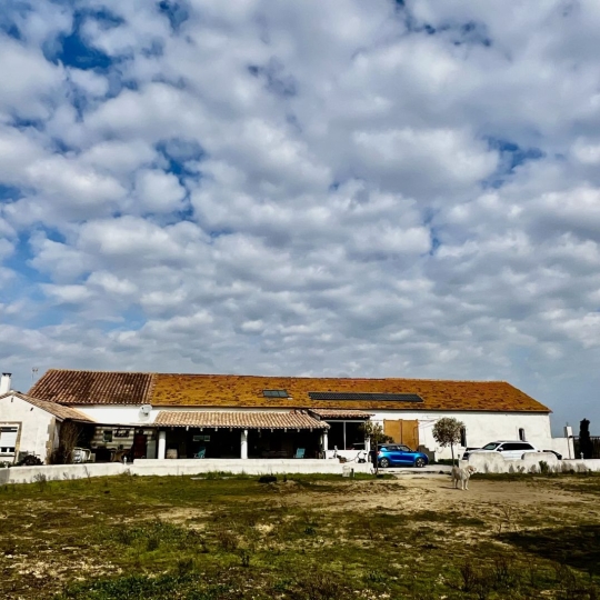 Domaines / Propriétés ARLES (13200) 265.00m2 399 000 € 