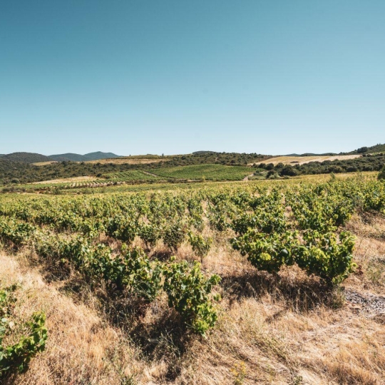 Terrain CASCASTEL-DES-CORBIERES (11360) 107.00m2 130 000 € 