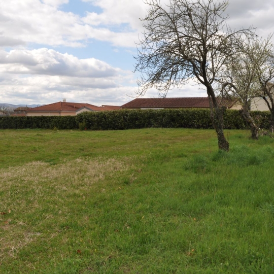 Terrain MONTMERLE-SUR-SAONE (01090) m2 - 180 000 € 