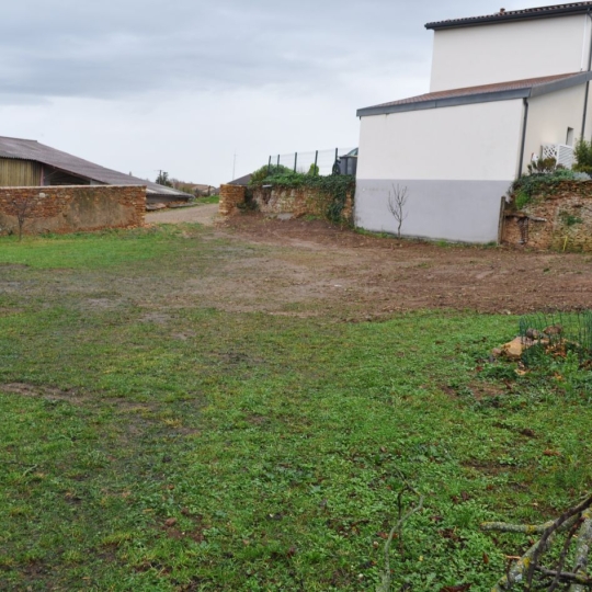 Terrain LACHASSAGNE (69480) m2 153 000 € 
