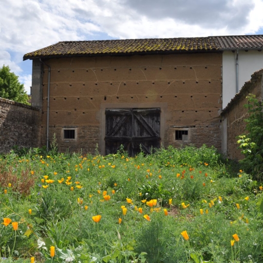 Maison MONTMERLE-SUR-SAONE (01090) 132.00m2 - 145 000 € 