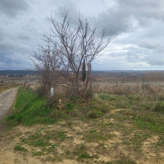 Terrain PAULHAN (34230) m2 15 000 € 