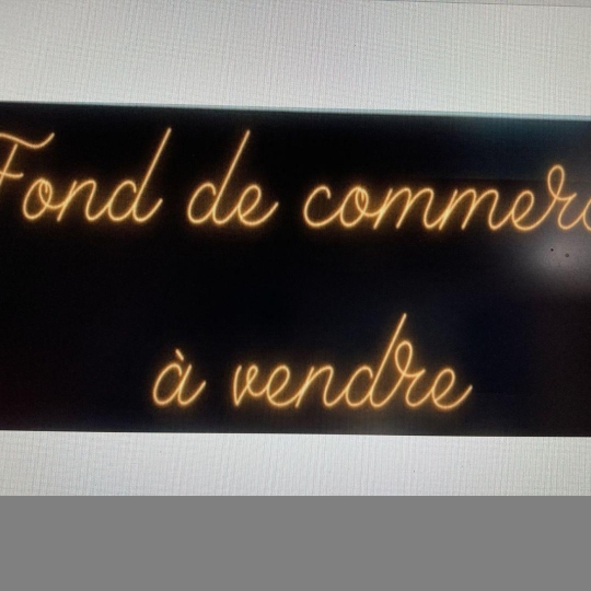 Commerces NARBONNE (11100) 30.00m2 262 500 € 