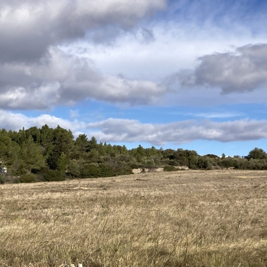 Terrain PORTEL-DES-CORBIERES (11490) 150.00m2 81 000 € 