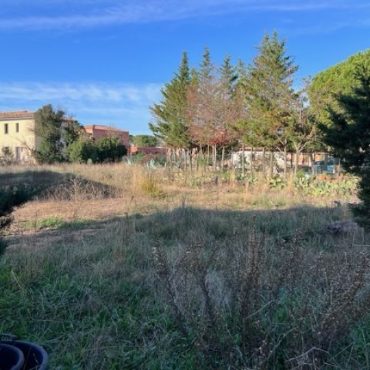 Terrain MARSEILLAN (34340) m2  - 313 000 € 