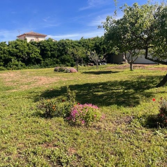 Terrain MARSEILLAN (34340) m2 520 000 € 