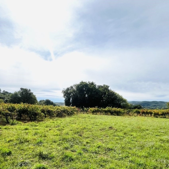 Terrain GOUDARGUES (30630) m2 255 600 € 