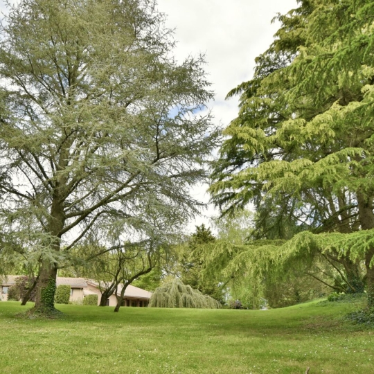 Réseau Immo-diffusion : Maison CHOLET (49300) 267.00m2  540 800 € 