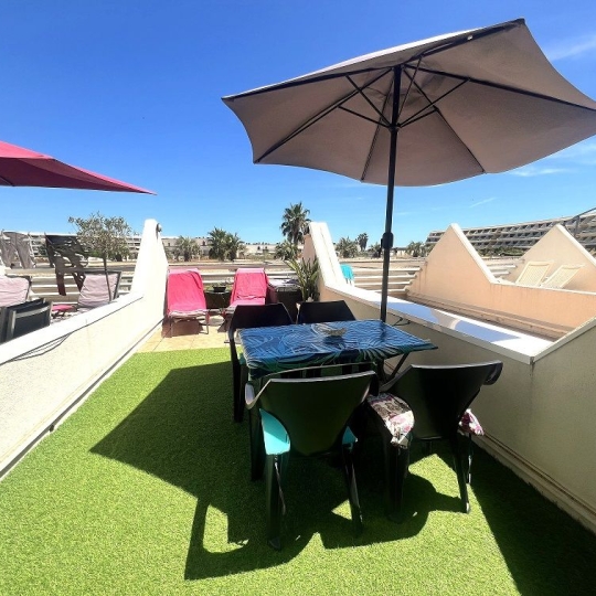 Réseau Immo-diffusion : Studio LE CAP-D'AGDE (34300) 26.00m2  249 000 € 