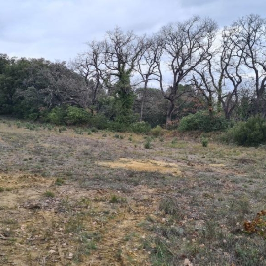 Terrain BEDARRIDES (84370) m2 199 500 € 