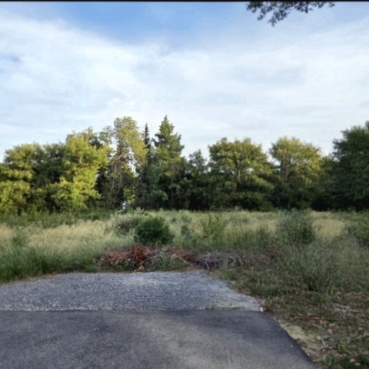 Terrain BEDARRIDES (84370) 263.00m2 229 000 € 