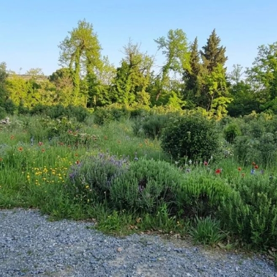 Terrain BEDARRIDES (84370) 263.00m2 190 000 € 