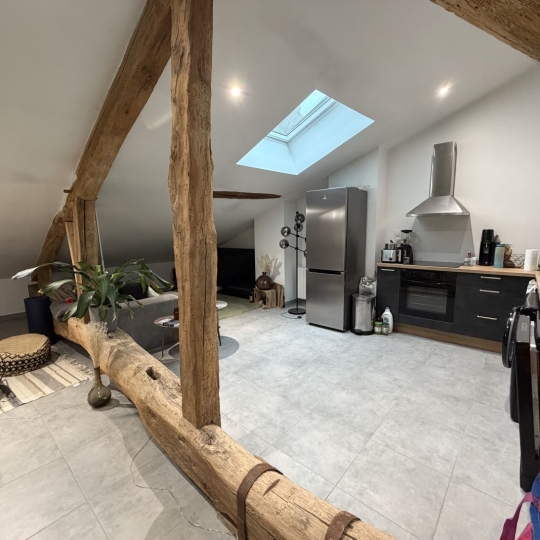 Appartement CHATILLON-SUR-CHALARONNE (01400) 45.75m2 570 € 