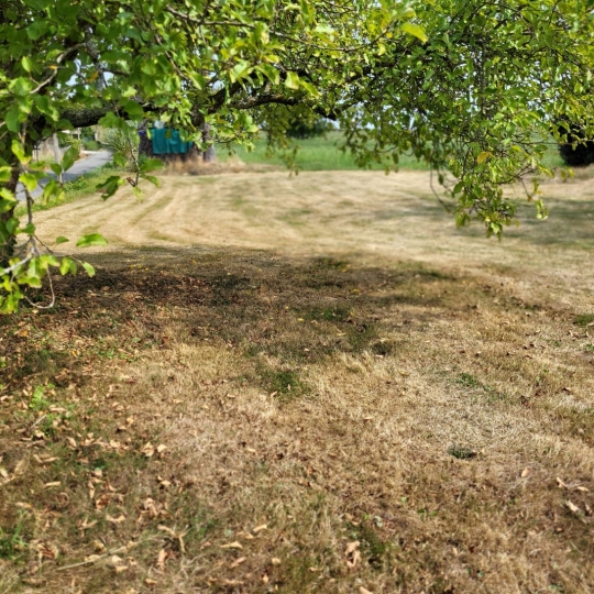 Terrain DOMPIERRE-SUR-VEYLE (01240) m2 70 000 € 