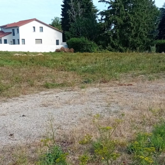 Terrain VILLARS-LES-DOMBES (01330) m2 157 500 € 