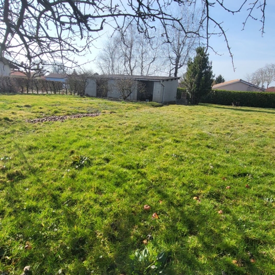 Terrain PONT-DE-VAUX (01190) m2 57 000 € 