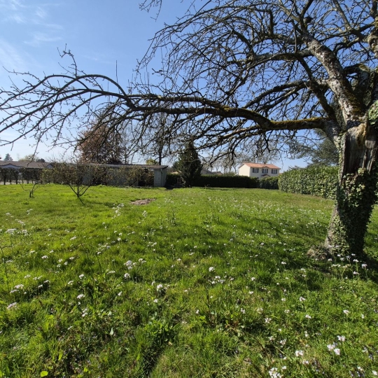 Réseau Immo-diffusion : Terrain PONT-DE-VAUX (01190) m2  54 000 € 