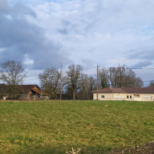 Terrain PONT-DE-VAUX (01190) m2  - 37 000 € 
