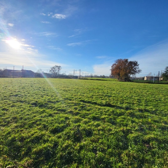 Terrain PONT-DE-VAUX (01190) 1.00m2 89 000 € 