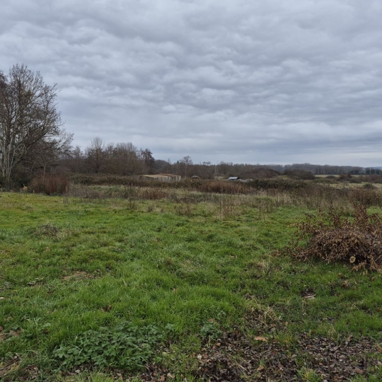 Terrain SAINT-NIZIER-LE-DESERT (01320) m2 139 000 € 