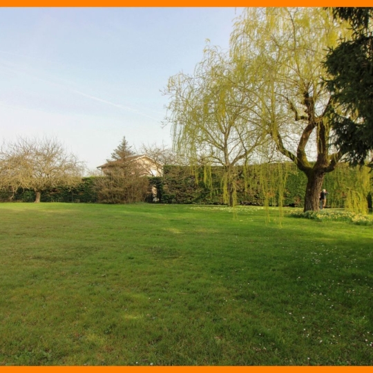 Terrain PIZAY (01120) m2 - 136 000 € 