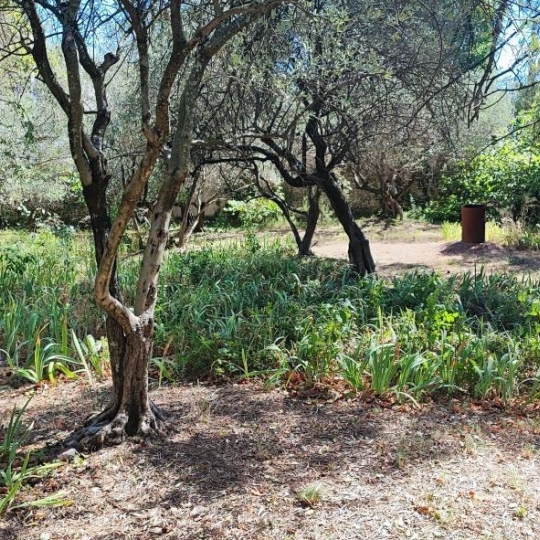 Terrain NIMES (30000) 0.00m2  - 490 000 € 