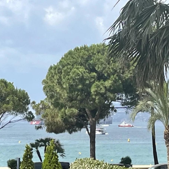 Réseau Immo-diffusion : 3 Pièces CANNES (06400) 76.00m2  1 690 000 € 