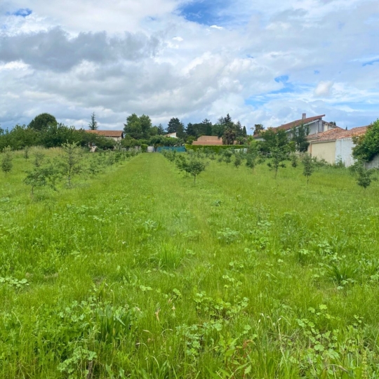 Terrain CROZES-HERMITAGE (26600) m2 93 000 € 