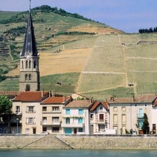 Terrain LARNAGE (26600) m2 109 000 € 